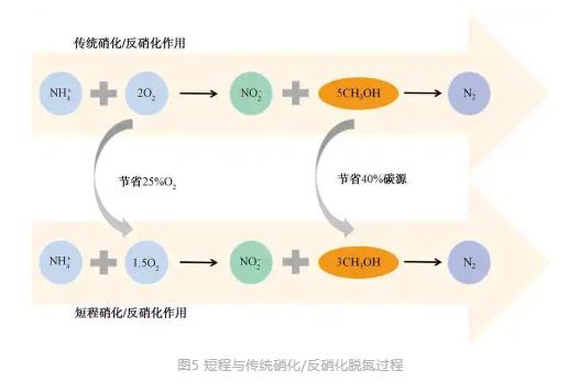 五香小肚+尼龍水煮高壓+亮面三邊封